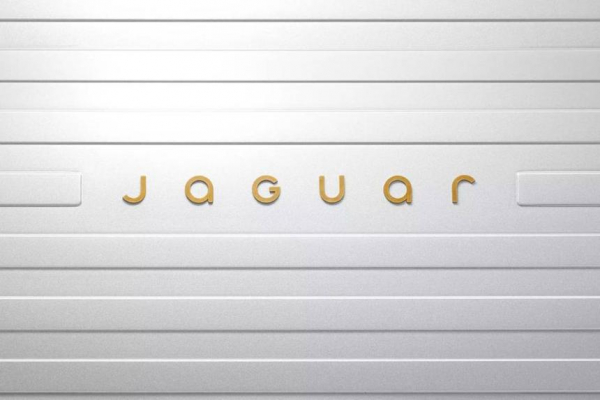 Илон Маск отреагировал на обновление бренда Jaguar Илон Маск отреагировал на обновление бренда Jaguar